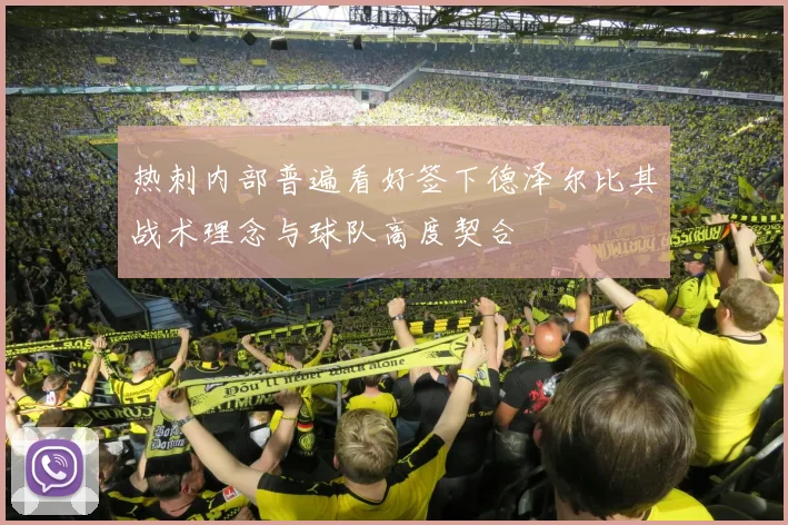热刺内部普遍看好签下德泽尔比其战术理念与球队高度契合